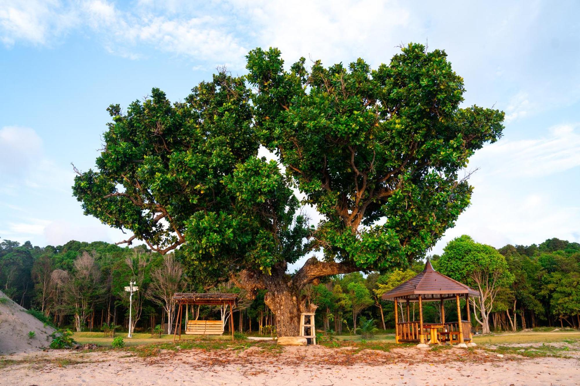 Kepri Coral Resort Galang Island Luaran gambar